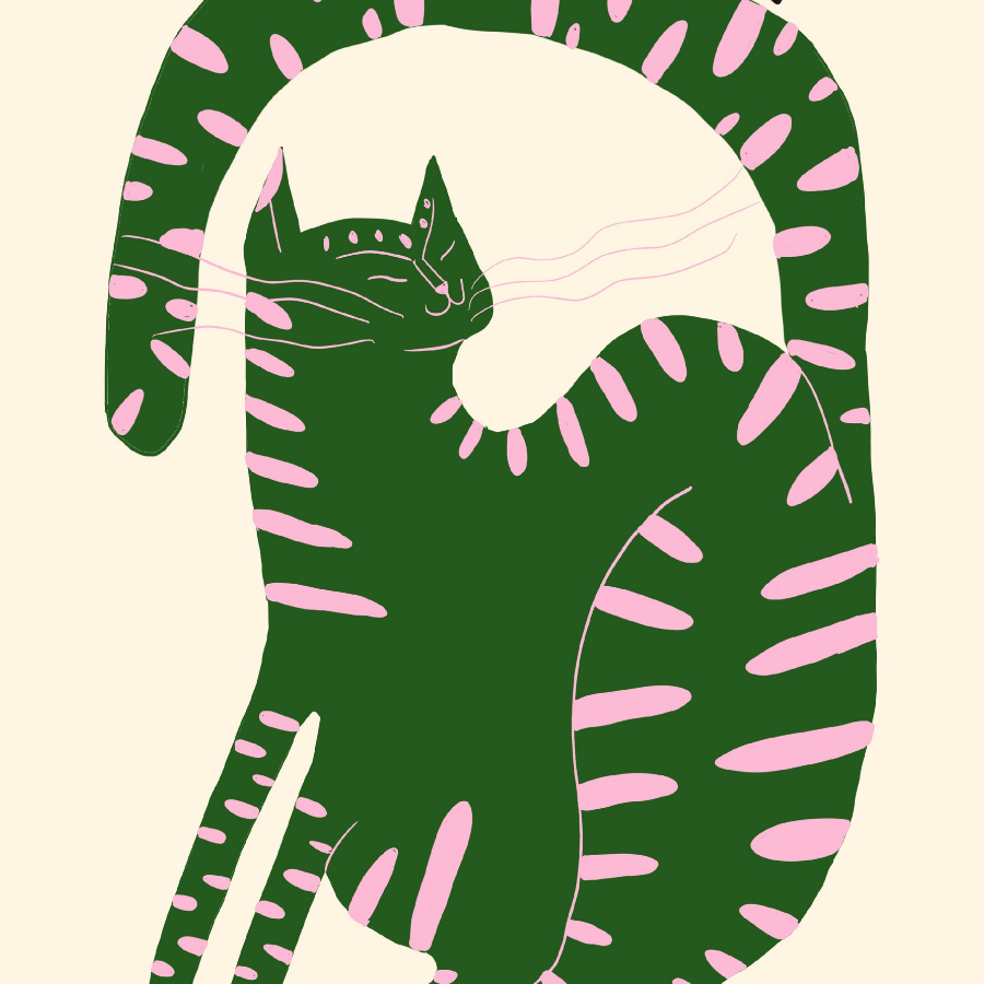 Stampa Just a Meow Cat - Poster di animali stravaganti
