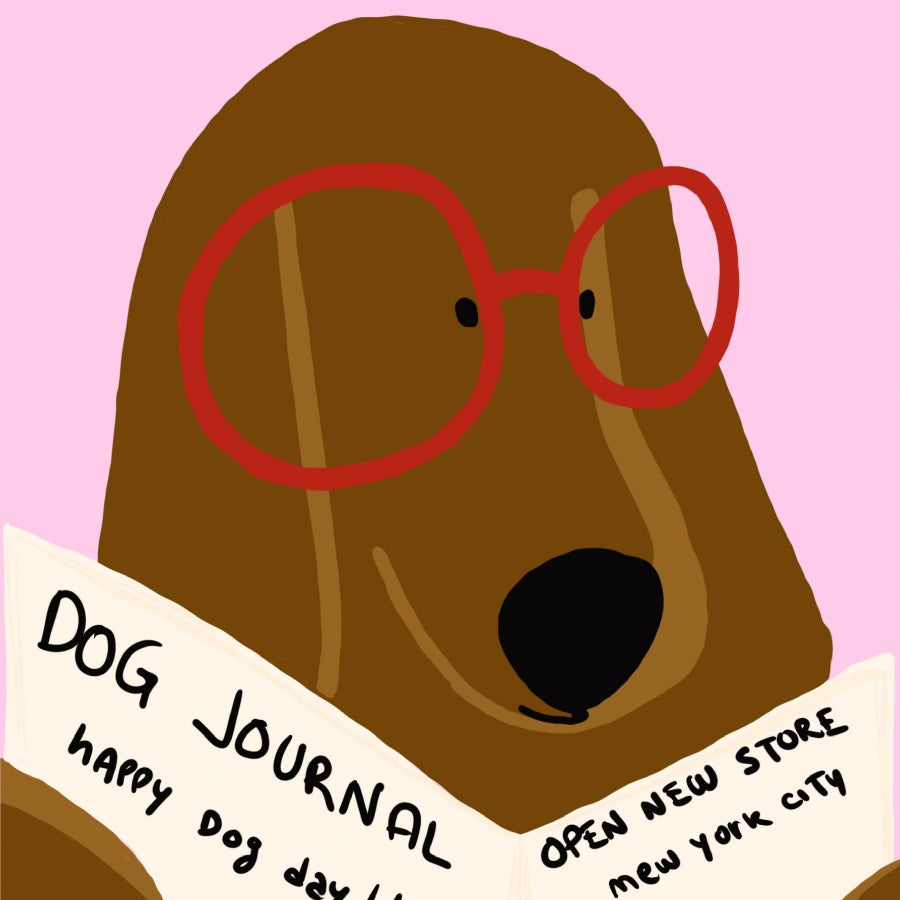 Stampa murale con cane che legge il giornale - Divertente stampa massimalista di un cane