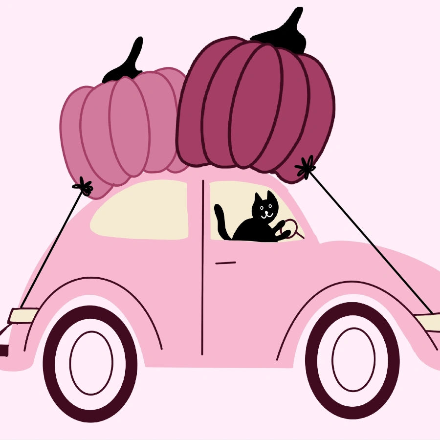 Decorazione murale per auto rosa di Halloween – Graziosa stampa di zucca autunnale